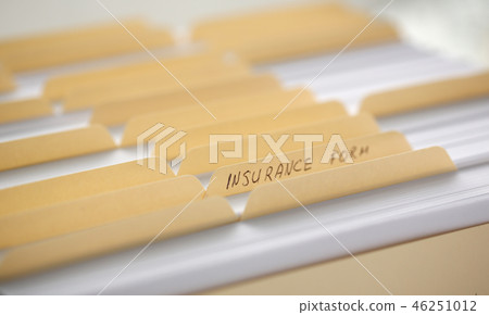 Yellow folders with labels and paper in a row Yellow folders with labels and paper in a row 46251012