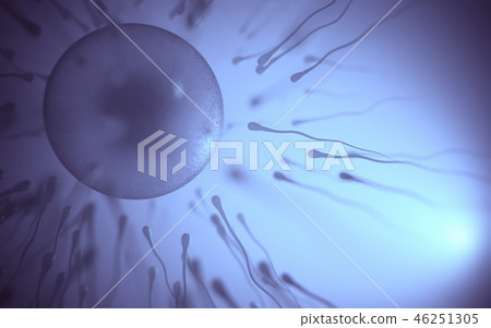 Sperm Meets Egg 46251305
