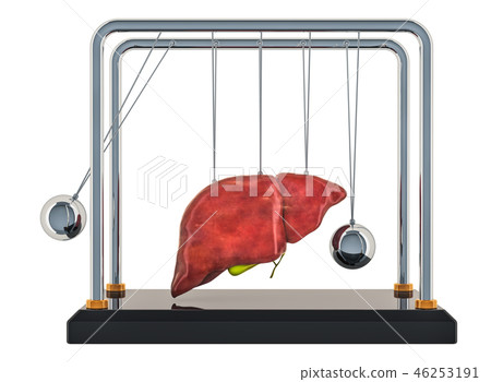 Newton's cradle with liver. Pain in liver Newton's cradle with liver. Pain in liver 46253191
