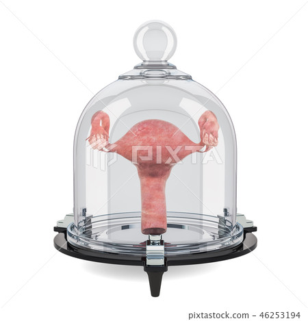 Human uterus covered by glass bell protect concept-插圖素材 [46253194 ...