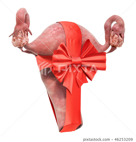 Female uterus with bow and ribbon. 3D rendering 46253209