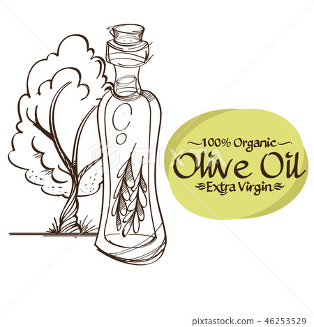 Olive branches and bottles with oil contour drawings for decoration of products. 46253529