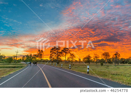 silhouette of the sunrise with the road,the beaut silhouette of the sunrise with the road,the beaut 46254778