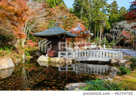 Hotayama Soneiji寺Benzaiten和Ishibashi 46254788