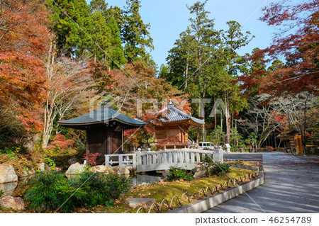 Hakata Sansoneiji Temple Benzai Tendo和Gyoza Shido Scenery 46254789