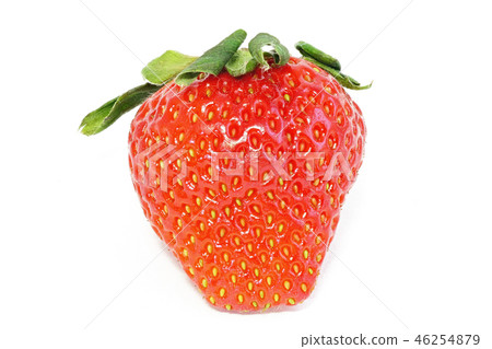 Strawberries (depth synthesis) 46254879