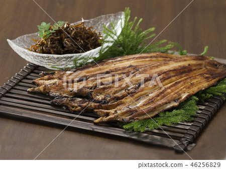 鰻魚 46256829