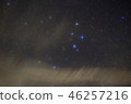 海豚 46257216