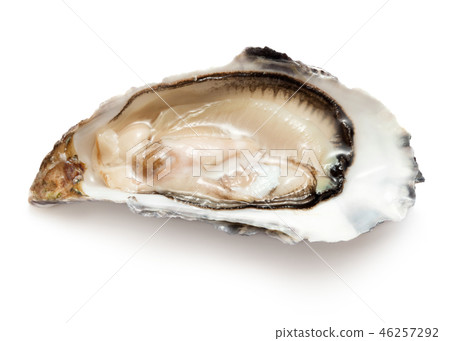 single oyster isolated 46257292
