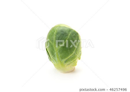 Brussels sprouts Brussels sprouts 46257496