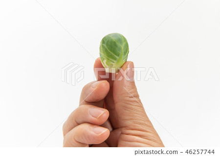 Brussels sprouts Brussels sprouts 46257744