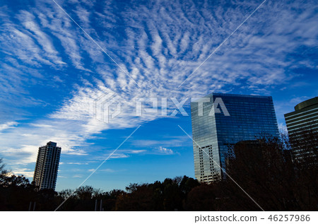 Afternoon sky of Shisatsu Tokyo Shinjuku Central Park area 2018.12 b Afternoon sky of Shisatsu Tokyo Shinjuku Central Park area 2018.12 b 46257986