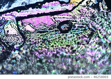 輕冰極化效應的模式 46258003