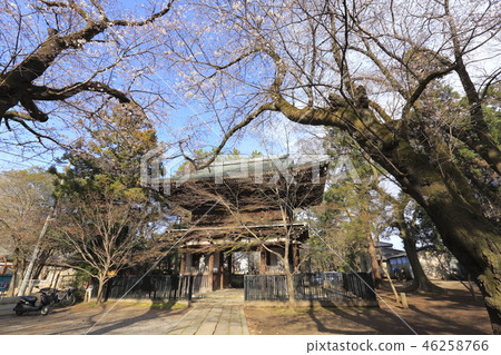 Toso-ji Temple（Niomon）的三門和千葉縣的Sakura Matsudo市 46258766