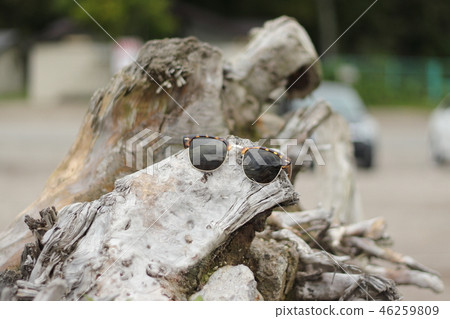 Big tree and sunglasses, thinking ahead looking forward 46259809