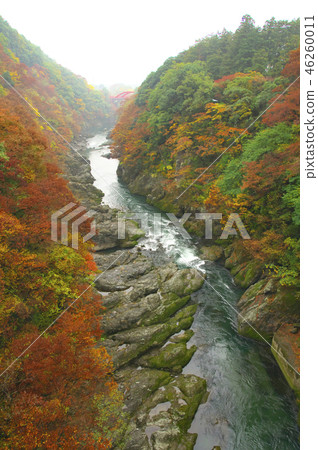 Landscape of the autumn leaves from the Takatsudo Gorge Spring Bridge 46260011