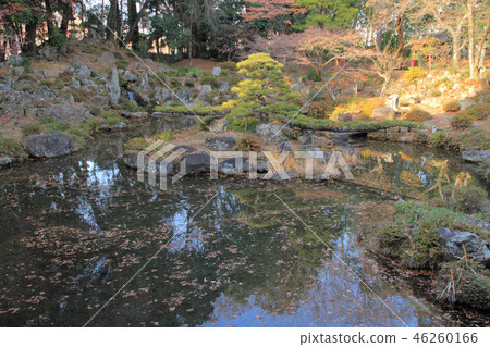 新本寺花園 46260166