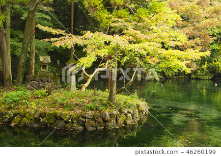 Fall of Bentenike spring Fall of Bentenike spring 46260199