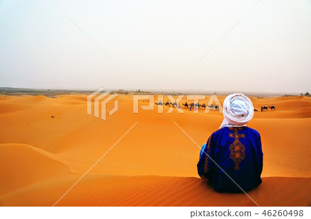 Sahara Desert Sahara Desert 46260498