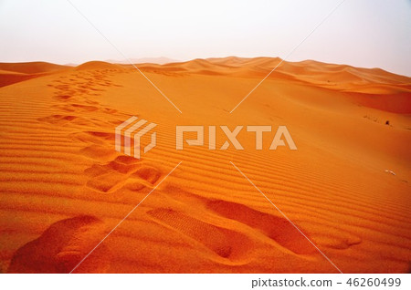 Sahara Desert Sahara Desert 46260499