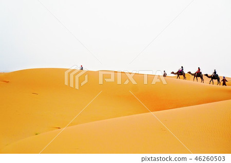 Sahara Desert 46260503