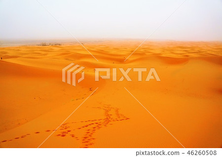 Sahara Desert Sahara Desert 46260508