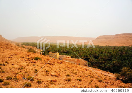 Sahara Desert Sahara Desert 46260519