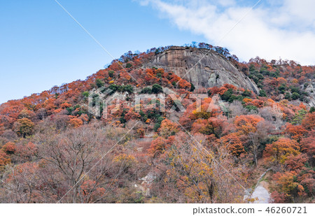 Iwatonoyama autumn scenery 46260721