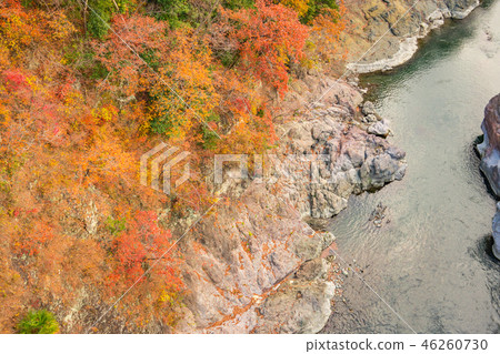 Autumn scenery of the Lion River Autumn scenery of the Lion River 46260730