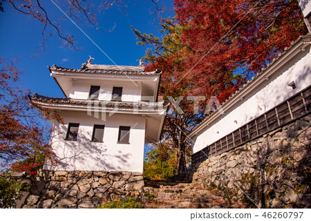 秋天的城下八幡城秋天的樹葉和城堡(岐阜縣古海市) 秋天的城下八幡城秋天的樹葉和城堡(岐阜縣古海市) 46260797