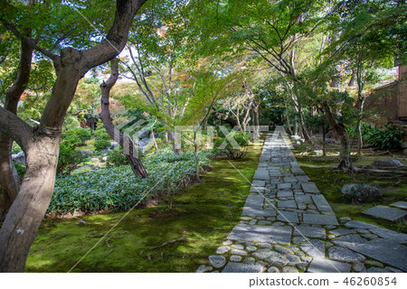 Autumn Moroto Garden Autumn public paving stones (Haruna City, Mie Prefecture) Autumn Moroto Garden Autumn public paving stones (Haruna City, Mie Prefecture) 46260854