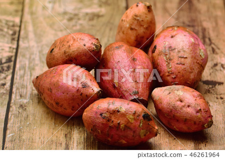 Anno potato Anno potato 46261964
