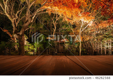 Light up of Teijin Light up of Teijin 46262388