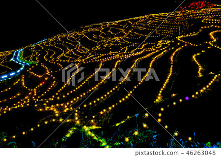 White rice Senjita Illuminations White rice Senjita Illuminations 46263048