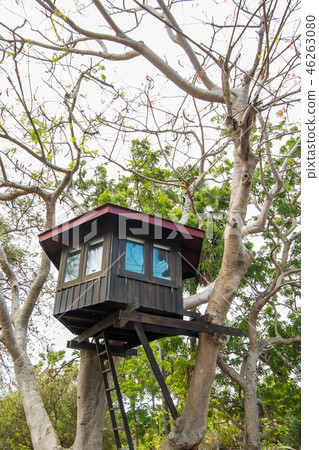 The dark brown tree house 46263080