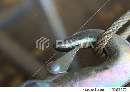 安全鉤和電線鉤和電線 46263272