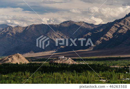 Mountains and forest landscape in Leh,Ladakh India 46263388