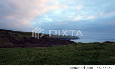 Twilight sky with green meadow and ocean Twilight sky with green meadow and ocean 46263439
