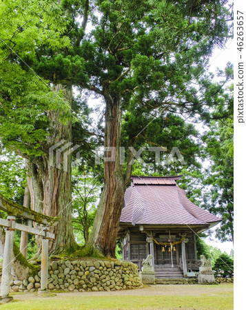 Matsuo Shrine (vertical) 2017-1 46263657