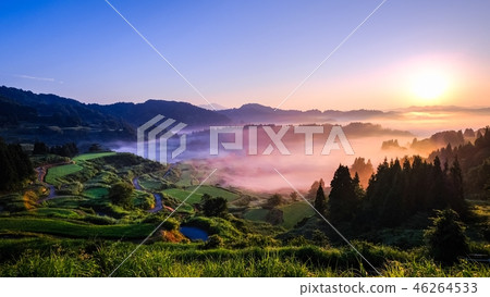 梯田(早晨) 梯田(早晨) 46264533