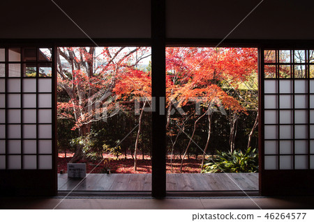 Autumn leaves of Genkoan 46264577