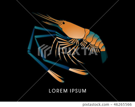 Giant freshwater prawn, shrimp graphic vector. Giant freshwater prawn, shrimp graphic vector. 46265566