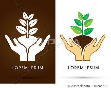Hands holding tree with leaf graphic vector 46265580