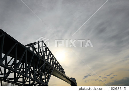酷色統一東京門橋 46268845