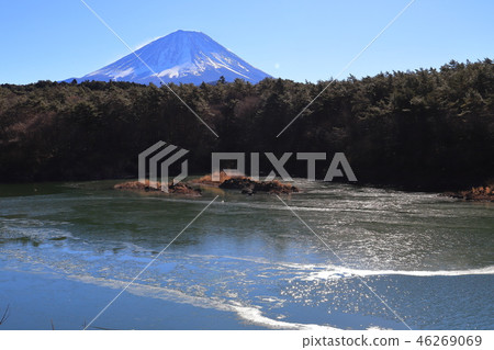 從無霜湖面和Shoji湖西岸看冬季富士山 從無霜湖面和Shoji湖西岸看冬季富士山 46269069