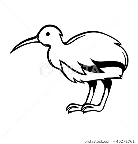 Black and white bird kiwi. 46271761