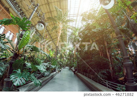 The train station of Atocha, Madrid Spain The train station of Atocha, Madrid Spain 46271882