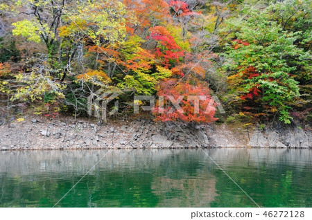 Shinryu湖 Shinryu湖 46272128