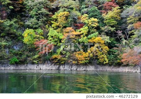 Shinryu湖 46272129