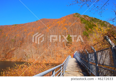 Soguri Valley Ryugasawa Dam Fall 46272633